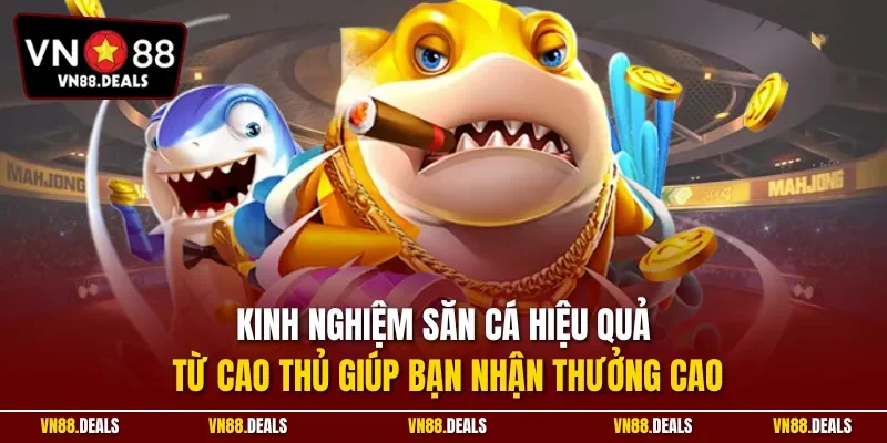 Kinh nghiệm săn cá hiệu quả từ cao thủ giúp bạn nhận thưởng cao